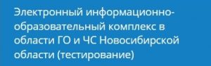  Электронный информационно-образовательный комплекс в области ГО и ЧС НСО 