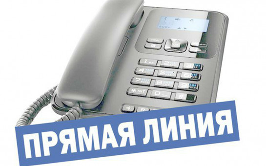 «Прямая телефонная линия», посвящённая Декаде инвалидов