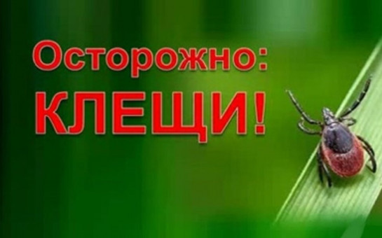 ОСТОРОЖНО, КЛЕЩИ!